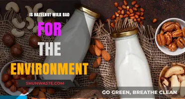 Hazelnut Milk's Environmental Impact: Sustainable Choice or Eco-Friendly Myth?