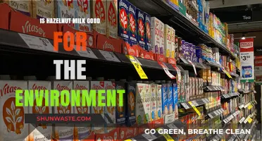 Hazelnut Milk: Eco-Friendly Choice or Environmental Concern?