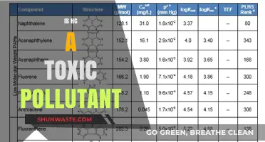 Hydrochloric Acid: Toxic Pollutant or Not?