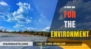 Is HDPE Harmful? Environmental Impact and Sustainable Alternatives Explained