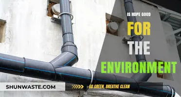 Is HDPE Eco-Friendly? Exploring Its Environmental Impact and Sustainability