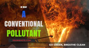 Heat: A Conventional Pollutant or Not?