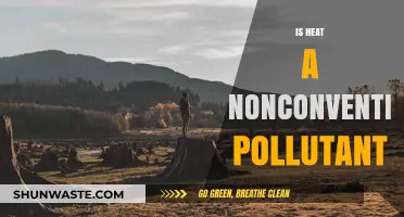 Heat: An Unconventional Pollutant?