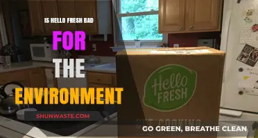 Is HelloFresh Eco-Friendly? Unpacking Its Environmental Impact and Sustainability