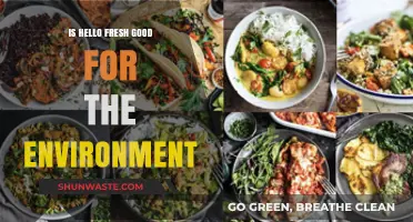 Is HelloFresh Eco-Friendly? Unpacking Its Environmental Impact and Sustainability
