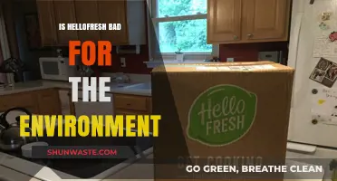 Is HelloFresh Eco-Friendly? Unpacking Its Environmental Impact and Sustainability