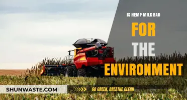 Is Hemp Milk Eco-Friendly? Environmental Impact Explained