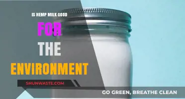Eco-Friendly Hemp Milk: A Sustainable Dairy Alternative for the Planet