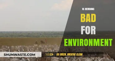 Herding's Environmental Impact: Sustainable Practices vs. Ecological Consequences
