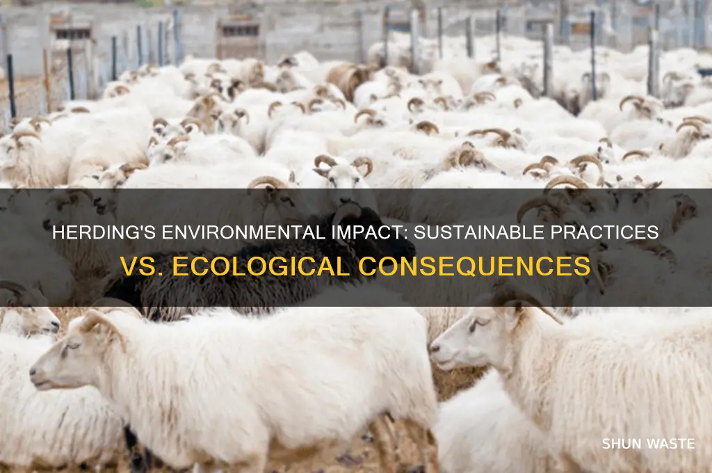 is herding bad for environment