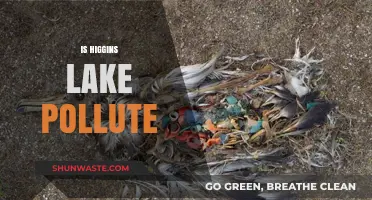 Higgins Lake's Pollution Problem: What's Happening?