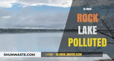 High Rock Lake: A Polluted Paradise?