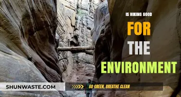 Hiking's Eco-Impact: Benefits, Challenges, and Sustainable Practices Explored