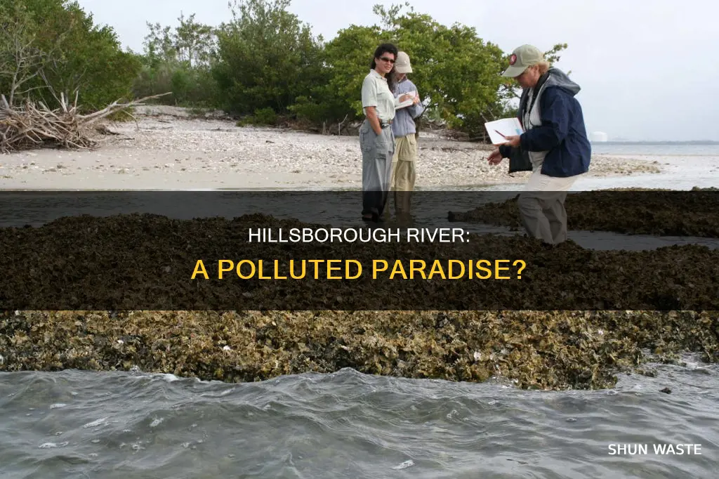 is hillsborough river polluted