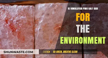 Himalayan Pink Salt's Environmental Impact: Sustainable or Harmful Choice?