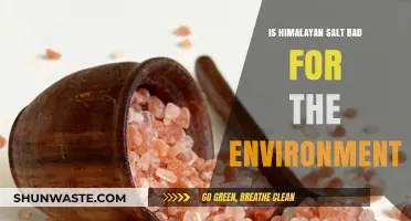 Himalayan Salt's Environmental Impact: Sustainable or Harmful Choice?