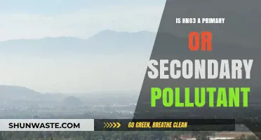 What is HNO3: Primary or Secondary Pollutant?