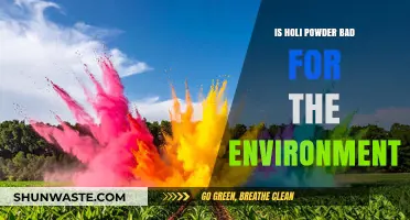 Holi Powder's Environmental Impact: A Colorful Celebration or Eco-Hazard?