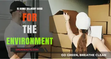 Home Delivery vs. Environment: Weighing the Eco-Impact of Convenience