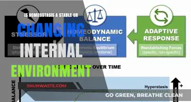 Homeostasis: Stable or Dynamic Internal Balance in Living Organisms?