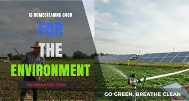 Homesteading's Eco-Impact: Sustainable Living or Environmental Trade-Off?
