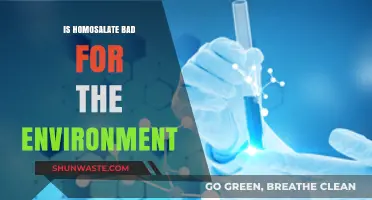 Homosalate's Environmental Impact: Uncovering the Truth Behind Sunscreen Chemicals