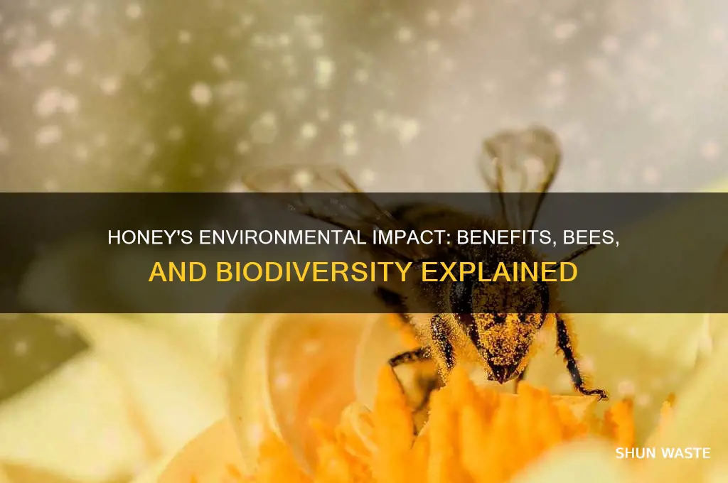 is honey good for the environment