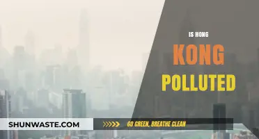 Hong Kong's Pollution Problem: A Critical Analysis
