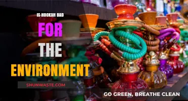 Hookah's Environmental Impact: Uncovering the Hidden Ecological Costs