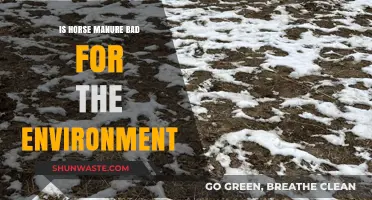 Horse Manure's Environmental Impact: Harmful or Harmless for Our Planet?