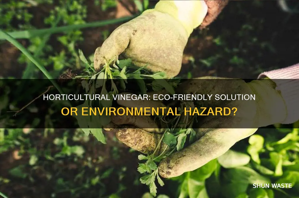 is horticultural vinegar bad for the environment