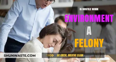 Is a Hostile Work Environment a Felony? Legal Insights Explained