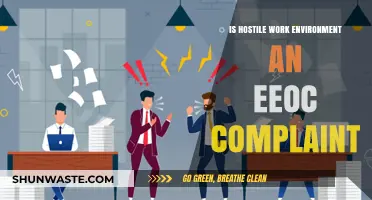 Is Your Workplace Hostile? Understanding EEOC Complaint Criteria