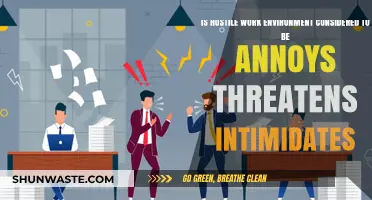 Hostile Work Environment: Annoyances, Threats, and Intimidation Explained