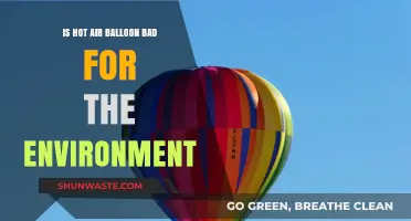 Hot Air Balloons: Eco-Friendly Adventure or Environmental Concern?