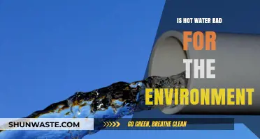 Hot Water's Environmental Impact: Sustainable Alternatives for a Greener Future