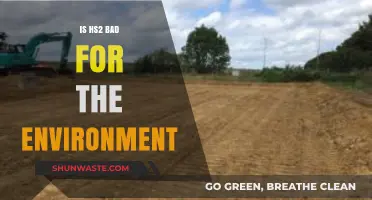 HS2's Environmental Impact: A Sustainable Project or Ecological Disaster?