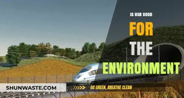 Is High-Speed Rail an Eco-Friendly Transportation Solution?