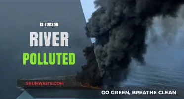 Hudson River Pollution: A Troubling Legacy