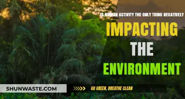 Beyond Human Actions: Exploring Other Environmental Threats and Their Impact