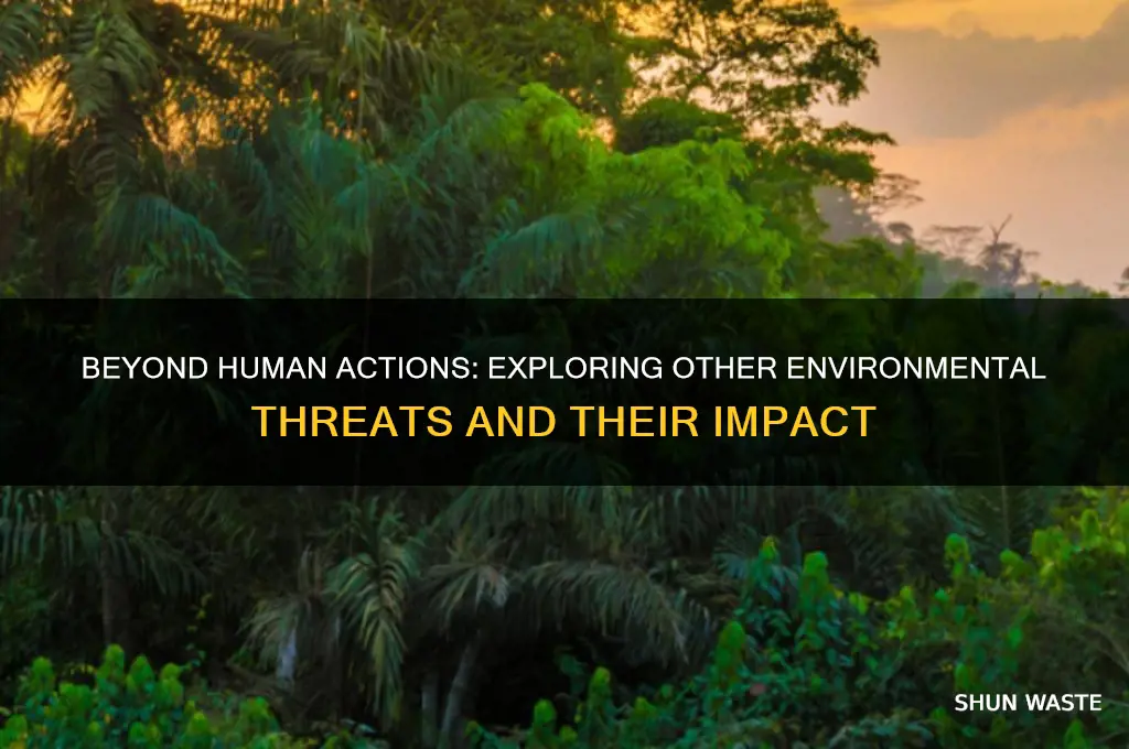 is human activity the only thing negatively impacting the environment