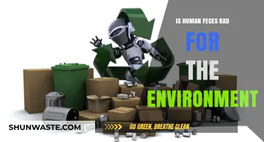 Human Waste Impact: Environmental Concerns and Sustainable Solutions Explored