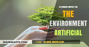 Human Impact on the Environment: Artificial or Inevitable?