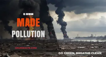 Human-Made Pollution: Impacting Our World