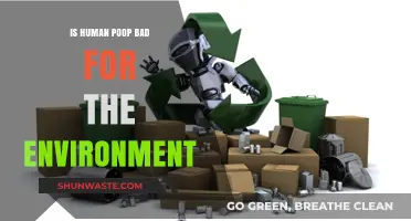 Human Waste Impact: Environmental Concerns and Sustainable Disposal Solutions