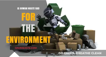 Human Waste's Environmental Impact: Harmful Effects and Sustainable Solutions