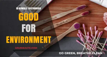 Eco-Friendly Brushing: Is the Humble Toothbrush Truly Green?