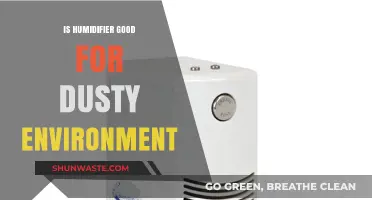 Humidifiers in Dusty Rooms: Effective Solution or Unnecessary Gadget?
