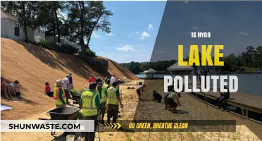 Hyco Lake's Pollution Problem: A Comprehensive Overview
