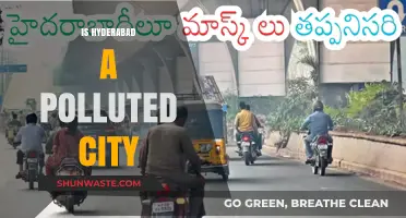 Hyderabad's Pollution Problem: A City's Battle